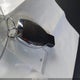 WDCTG4EB4KU009333 2019 Mercedes-Benz Gla 250 auction photo thumbnail 11