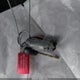 2GCEC13V061357461 2006 Chevrolet Silverado 1500 Ls auction photo thumbnail 11