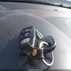 KNAFU4A27D5657647 2013 Kia Forte Ex auction photo thumbnail 11