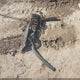 1C4RJFAG3FC188751 2015 Jeep Grand Cherokee Laredo auction photo thumbnail 12