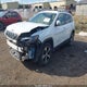 1C4PJMDX3KD303554 2019 Jeep Cherokee Limited 4X4 auction photo thumbnail 2