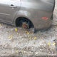 1G1ZB5E06CF248738 2012 Chevrolet Malibu Ls auction photo thumbnail 6