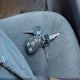2G1WG5E32D1116390 2013 Chevrolet Impala Lt auction photo thumbnail 11