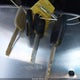 5FNYF3H65BB014380 2011 Honda Pilot Ex-L auction photo thumbnail 11