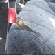 1GTCT19W328116153 2002 GMC Sonoma Sls auction photo thumbnail 11