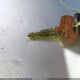 KMHD74LF7JU520433 2018 Hyundai Elantra Se auction photo thumbnail 11