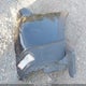 JF2SKAPC0KH563449 2019 Subaru Forester Sport auction photo thumbnail 12