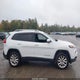 1C4PJMDB2GW199641 2016 Jeep Cherokee Limited auction photo thumbnail 13