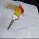 1N6BD0CT8JN711353 2018 Nissan Frontier S auction photo thumbnail 11
