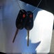 1FADP3F23DL143347 2013 Ford Focus Se auction photo thumbnail 11