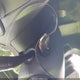3VWBP7AJ2DM446235 2013 Volkswagen Jetta 2.5L Se auction photo thumbnail 11