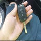 5XXGM4A71FG379247 2015 Kia Optima Lx auction photo thumbnail 11