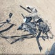 SALVP2BG4GH089955 2016 Land Rover Range Rover Evoque Se/Se Premium auction photo thumbnail 18