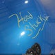 1C4PJMDX1JD562574 2018 Jeep Cherokee Limited 4X4 auction photo thumbnail 10