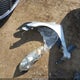 2HGFG1B60BH515853 2011 Honda Civic Lx auction photo thumbnail 12
