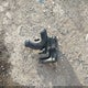 1HGCR2F76GA195871 2016 Honda Accord Ex auction photo thumbnail 12
