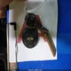 WMWMF73558TV39317 2008 Mini Cooper S auction photo thumbnail 11