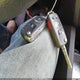 3VW2K7AJ9EM357634 2014 Volkswagen Jetta 2.0L S auction photo thumbnail 11