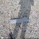 3GNAXHEV6KS671176 2019 Chevrolet Equinox Ls auction photo thumbnail 12