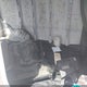 1GCSGAFX0E1176031 2014 Chevrolet Express 1500 Work Van auction photo thumbnail 8