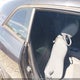 2B3LJ44V39H609889 2009 Dodge Challenger Se auction photo thumbnail 8