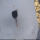 2G2WP552771118143 2007 Pontiac Grand Prix auction photo thumbnail 11