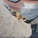 1FDXF46S9YED41680 2000 Ford F-450 Lariat/Xl/Xlt auction photo thumbnail 11