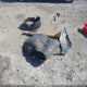 3C63RRGL6FG525678 2015 Ram 3500 Tradesman auction photo thumbnail 12