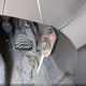 1FTYR1ZM4HKB09906 2017 Ford Transit-250 auction photo thumbnail 11