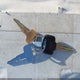 JF1GC435XYH503686 2000 Subaru Impreza L auction photo thumbnail 11