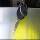 1FMFK19507LA87511 2007 Ford Expedition El Limited auction photo thumbnail 11