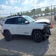 1C4PJLLB4KD455665 2019 Jeep Cherokee Altitude Fwd auction photo thumbnail 14