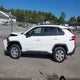 JTMF1RFV5KD515604 2019 Toyota Rav4 Le auction photo thumbnail 14