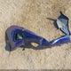 1HGCV1F38NA048645 2022 Honda Accord Sport auction photo thumbnail 12