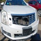 3GYFNCE36ES572989 2014 Cadillac Srx Performance Collection auction photo thumbnail 6