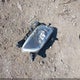 KMHGC4DE8BU140422 2011 Hyundai Genesis 3.8 auction photo thumbnail 12