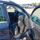 WVGBV7AX2BW535700 2011 Volkswagen Tiguan Sel auction photo thumbnail 5