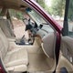 1HGCP26819A110985 2009 Honda Accord 2.4 Ex-L auction photo thumbnail 5