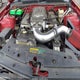 1ZVHT85H085131870 2008 Ford Mustang Gt Deluxe/Gt Premium auction photo thumbnail 10