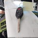 4S4BRBLC4E3328670 2014 Subaru Outback 2.5I Limited auction photo thumbnail 11