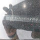 2T3BF4DV1AW032988 2010 Toyota Rav4 auction photo thumbnail 17