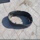 5FNYF8H54PB032901 2023 Honda Passport Awd Ex-L auction photo thumbnail 12