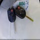 1FMCU9GD5JUB29629 2018 Ford Escape Se auction photo thumbnail 11