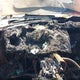 1FMYU22E5XUB56559 1999 Ford Explorer Sport auction photo thumbnail 7