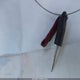 3FTNW21S2YMA77672 2000 Ford F-250 Lariat/Xl/Xlt auction photo thumbnail 11