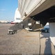 4YDF2552917302517 2001 Keystone Honet M265L auction photo thumbnail 10