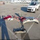 1FMEU7EE5AUA25067 2010 Ford Explorer Eddie Bauer auction photo thumbnail 12