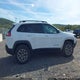 1C4PJMBX7ND517602 2022 Jeep Cherokee Trailhawk 4X4 auction photo thumbnail 14