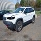 1C4PJMBX7ND517602 2022 Jeep Cherokee Trailhawk 4X4 auction photo thumbnail 2