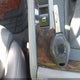 WBABS53473JU99065 2003 BMW 330Ci auction photo thumbnail 11